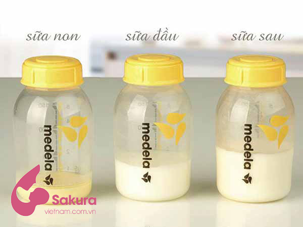 Sữa non, sữa bầu và sữa sau sẽ có màu sắc khác nhau