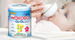 Sữa Wakodo Nhật Bản có tốt không?